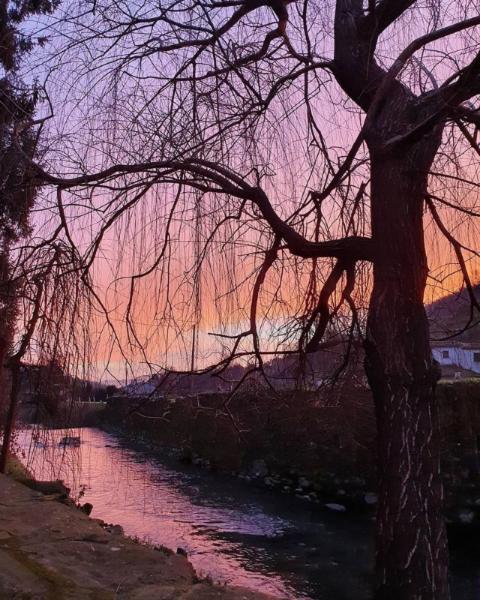 Agriturismo Terrarossa Pistoia Dış mekan fotoğraf