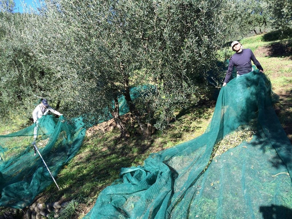 Agriturismo Terrarossa Pistoia Dış mekan fotoğraf