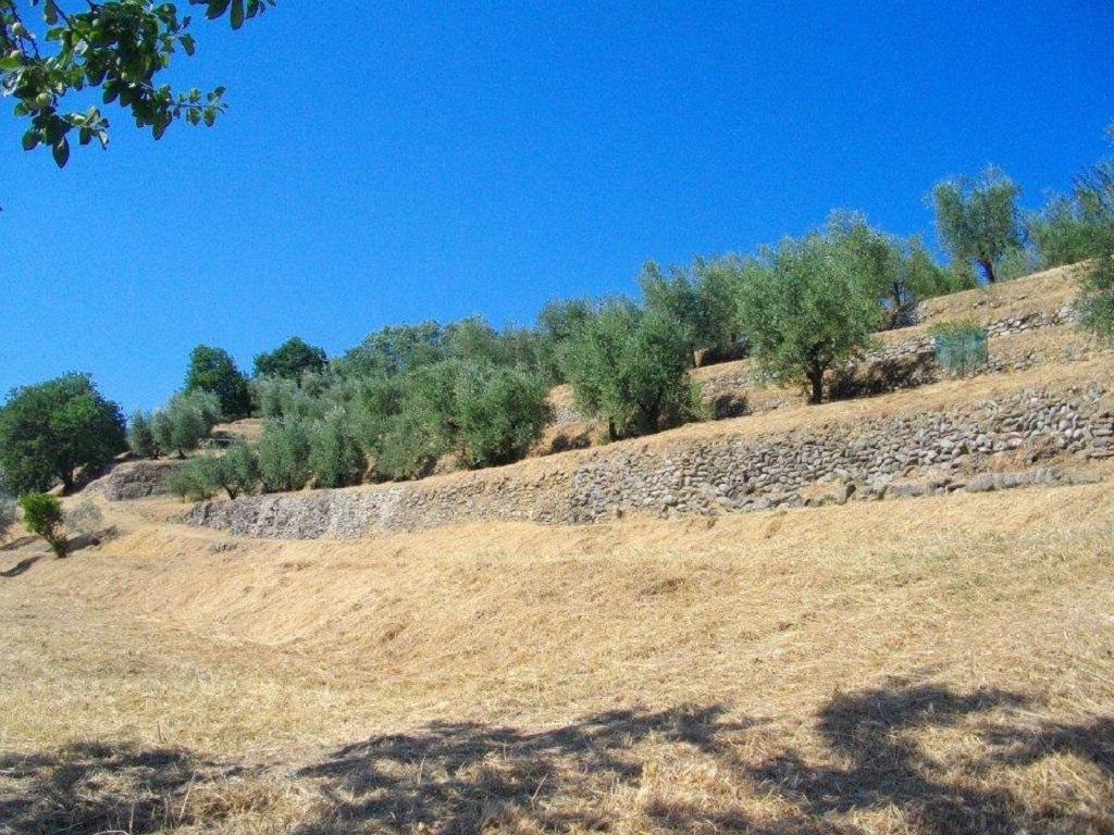 Agriturismo Terrarossa Pistoia Dış mekan fotoğraf