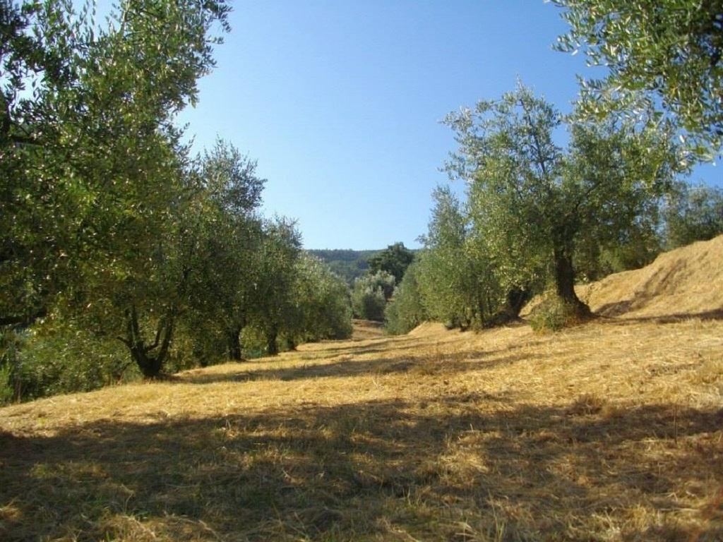 Agriturismo Terrarossa Pistoia Dış mekan fotoğraf