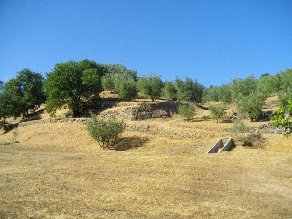 Agriturismo Terrarossa Pistoia Dış mekan fotoğraf