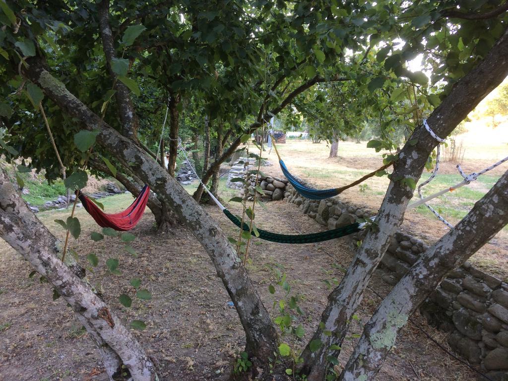 Agriturismo Terrarossa Pistoia Dış mekan fotoğraf