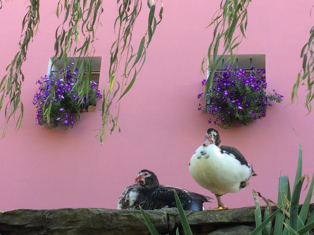 Agriturismo Terrarossa Pistoia Dış mekan fotoğraf