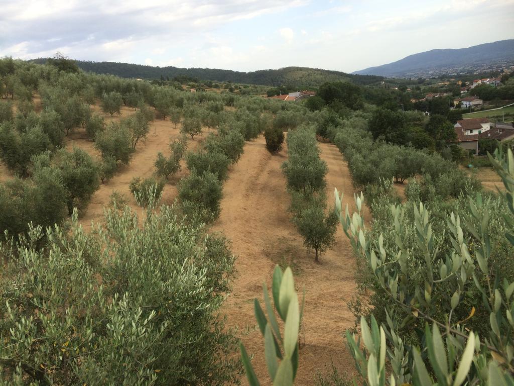 Agriturismo Terrarossa Pistoia Dış mekan fotoğraf