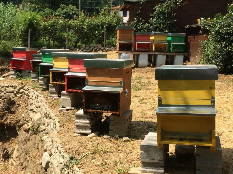 Agriturismo Terrarossa Pistoia Dış mekan fotoğraf