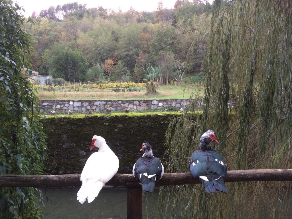 Agriturismo Terrarossa Pistoia Dış mekan fotoğraf